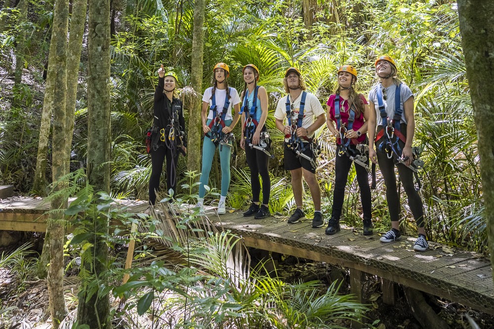 EcoZip ziplines & native forest