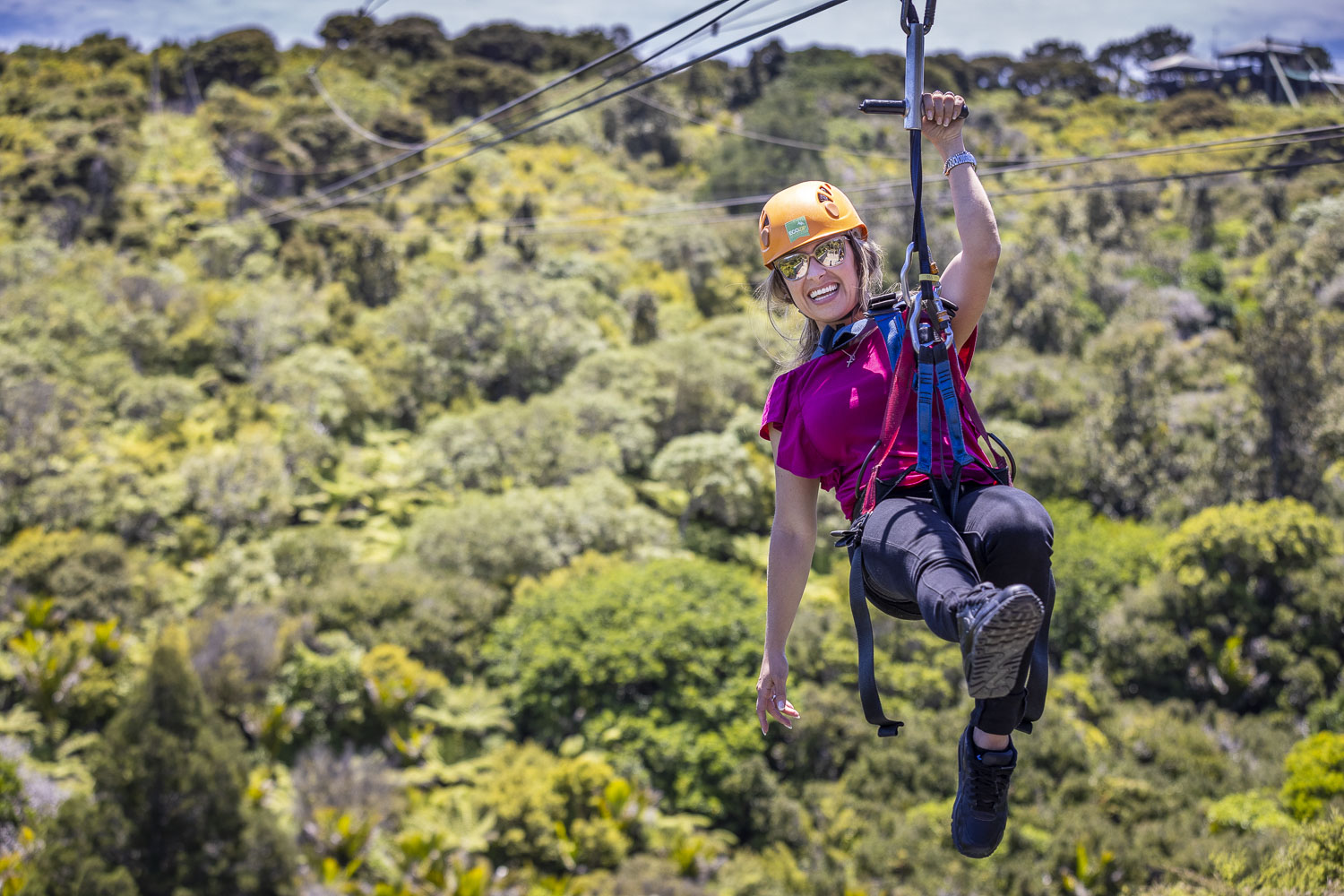 The EcoZip Family Adventure & Private Waiheke Experience