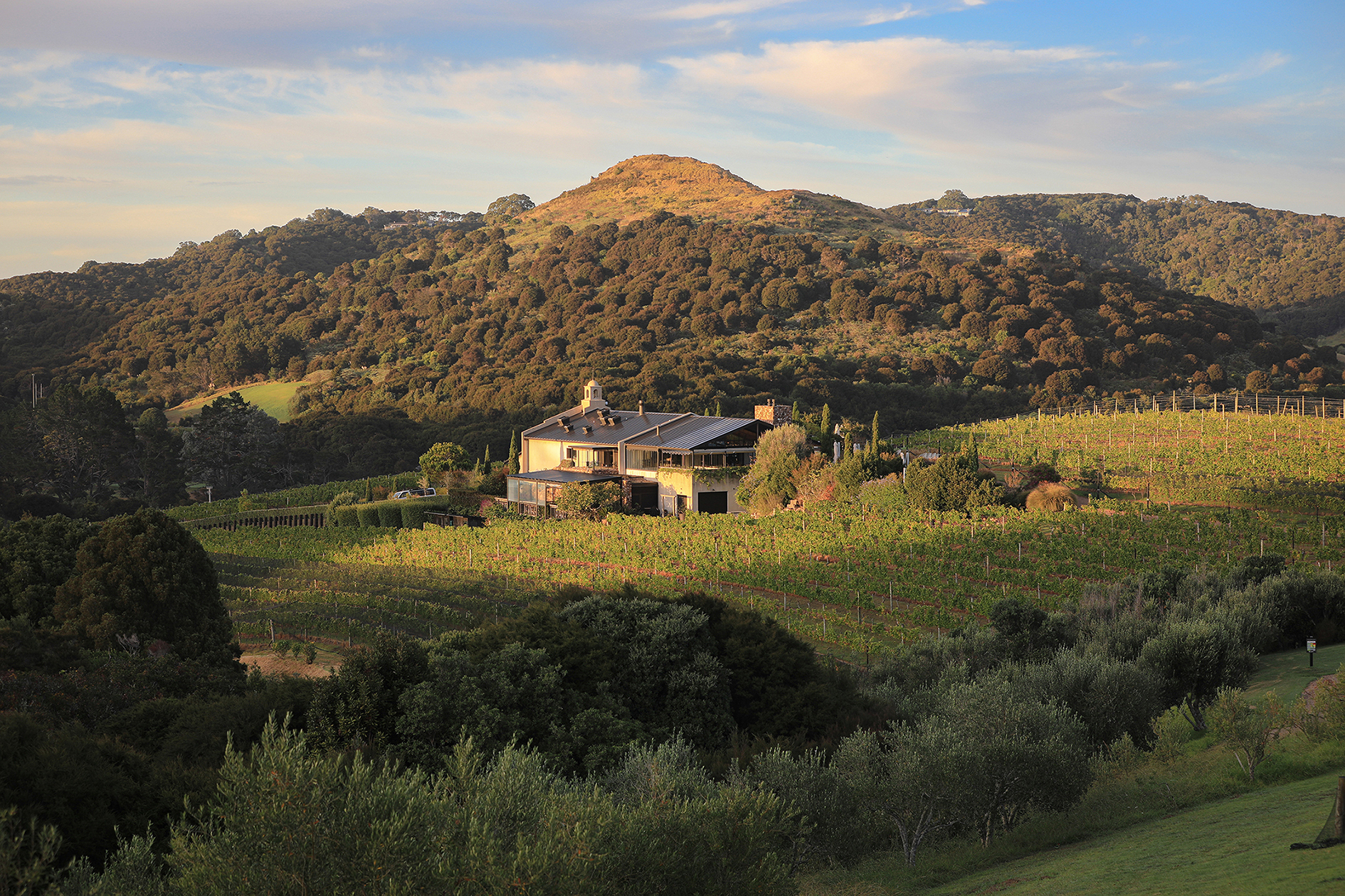 Tantalus Estate, Waiheke Island